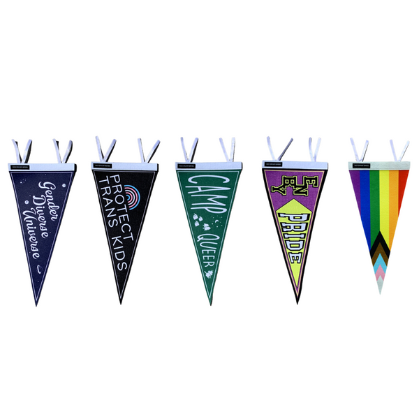 SDH Protect Trans Kids Pennant