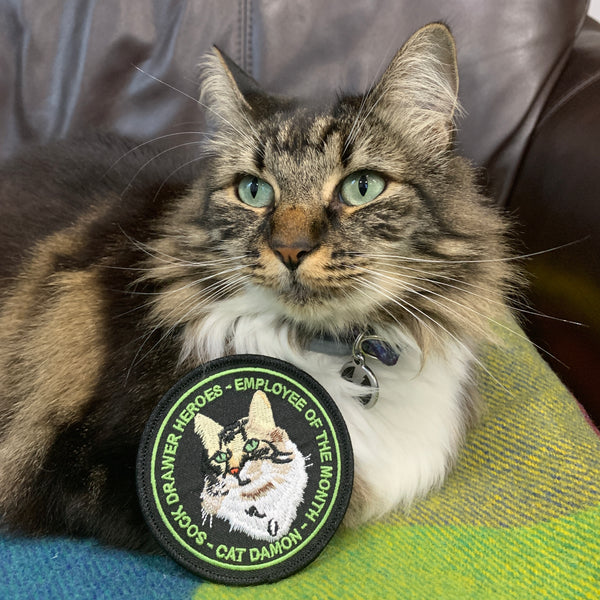 SDH Cat Damon Employee of the Month Patch